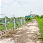 Bán đất 900m² Thôn 2 Hàm Liêm, Phan Thiết 479 triệu - Ảnh thu nhỏ 1