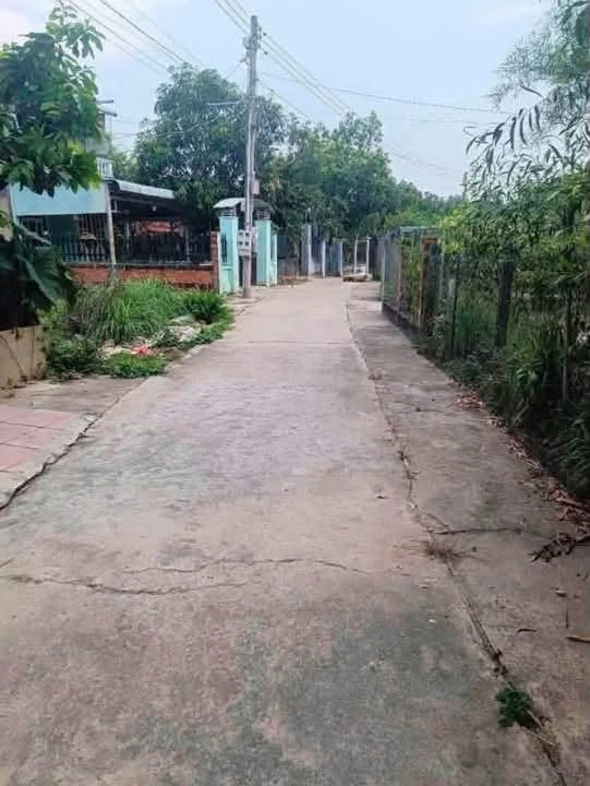 Bán lô đất 150m² giá 8xx triệu Phường Long Nguyên - Ảnh thu nhỏ 3