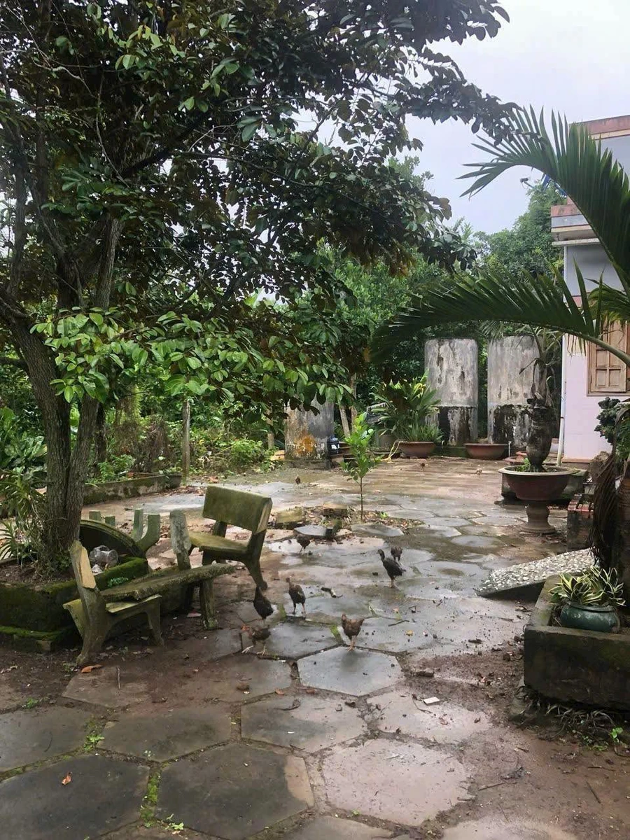 Bán đất Sơn Đông 947m², 1 tỷ 600 triệu, có nhà cho thuê - Ảnh thu nhỏ 4