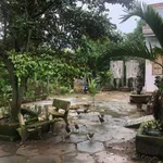Bán đất Sơn Đông 947m², 1 tỷ 600 triệu, có nhà cho thuê - Ảnh thu nhỏ 4