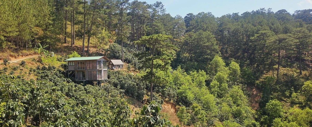 Bán đất 1.000m² Xuân Trường Đà Lạt, có nhà sẵn, 1,269 tỷ - Ảnh thu nhỏ 2