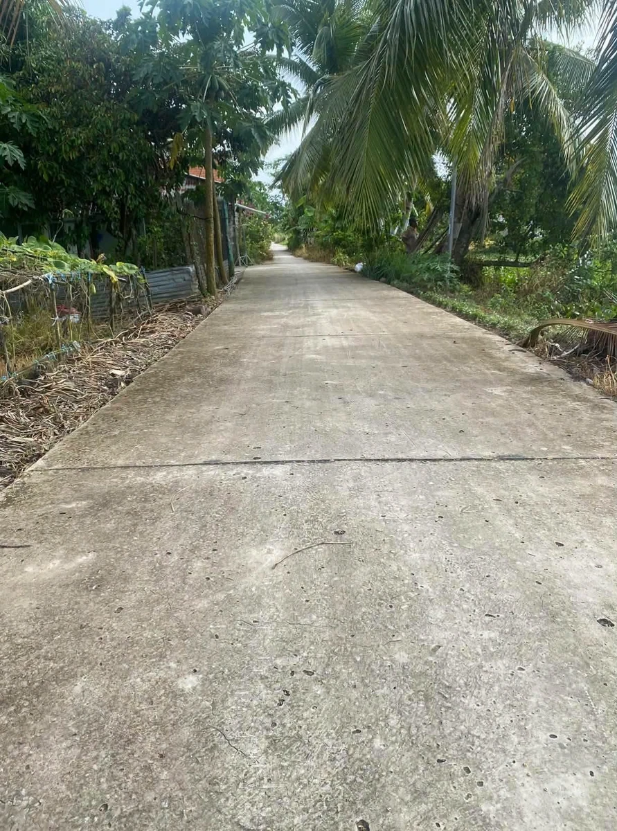 Bán 2000m² đất lúa quy hoạch thổ cư Kiên Giang 630 triệu - Ảnh thu nhỏ 2
