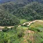 Đất đồi Konturang view đẹp. Gần thác Pa Sỹ khu hot ở Măng Đen - Ảnh thu nhỏ 7