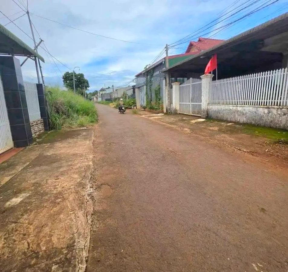 Bán đất hẻm Nguyễn Thái Bình 875m² gần chợ 7,5 tỷ - Ảnh thu nhỏ 2