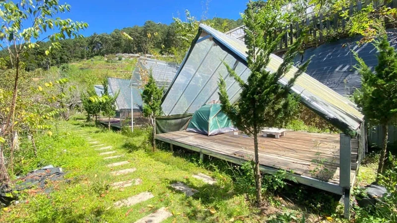 Cho thuê khu camping 4600m² gần hồ Xuân Hương 10 triệu/tháng