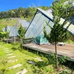 Cho thuê khu camping 4600m² gần hồ Xuân Hương 10 triệu/tháng - Ảnh thu nhỏ 1