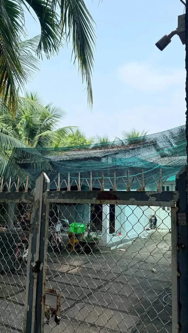 Bán đất Phường Phú Tân Bến Tre 300m² 750 triệu - Ảnh thu nhỏ 2