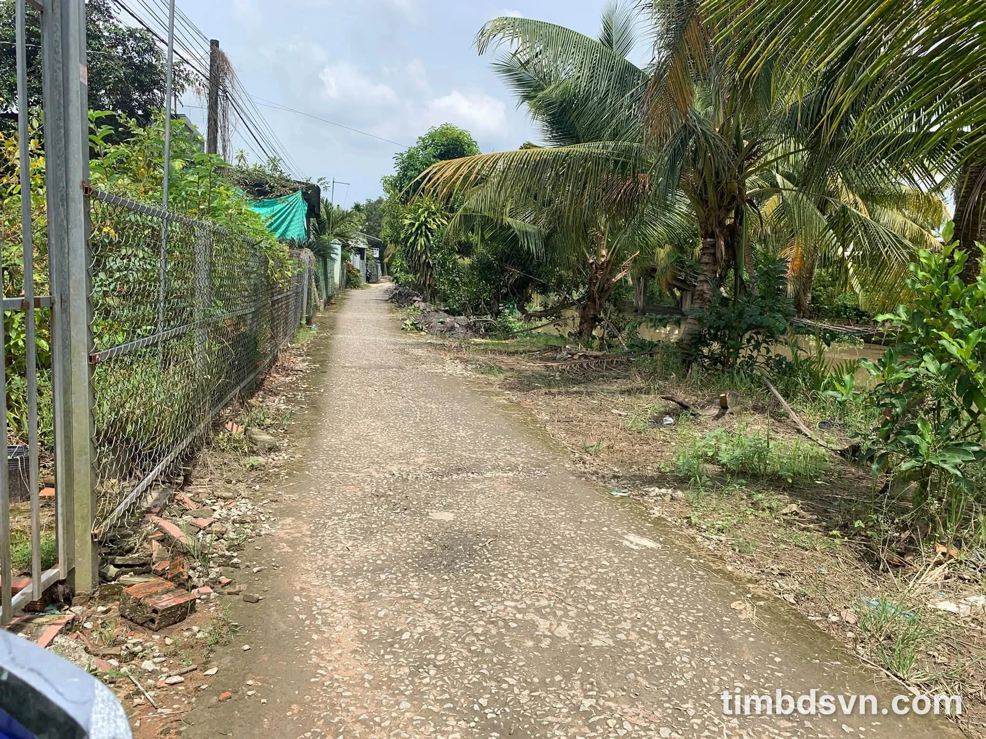 Bán đất 13.000m² Thới Lai, Nhà Bè giá 2.58 tỷ - Ảnh 1