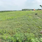 Bán lô đất liền kề 1000m2 Thạnh Lợi Bình Minh Tây Ninh - Ảnh thu nhỏ 2