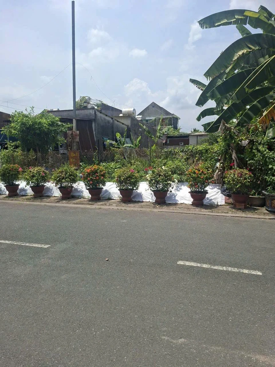 Bán đất 300m² (200m² thổ cư) Tam Phước 4.2 tỷ - Ảnh thu nhỏ 5