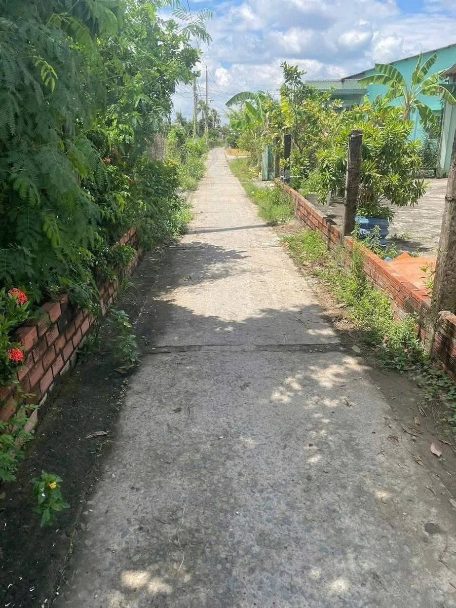 Bán lô đất An Lục Long 160m² Bình Tân 250 triệu - Ảnh thu nhỏ 3