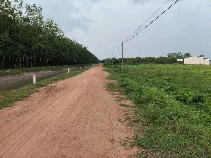 Bán 10.000m² đất nền Tây Ninh giá 2 tỷ 999 triệu - Ảnh 1