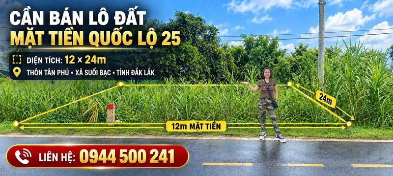 Bán lô đất mặt tiền Quốc Lộ 25, 288 m², Đắk Lắk