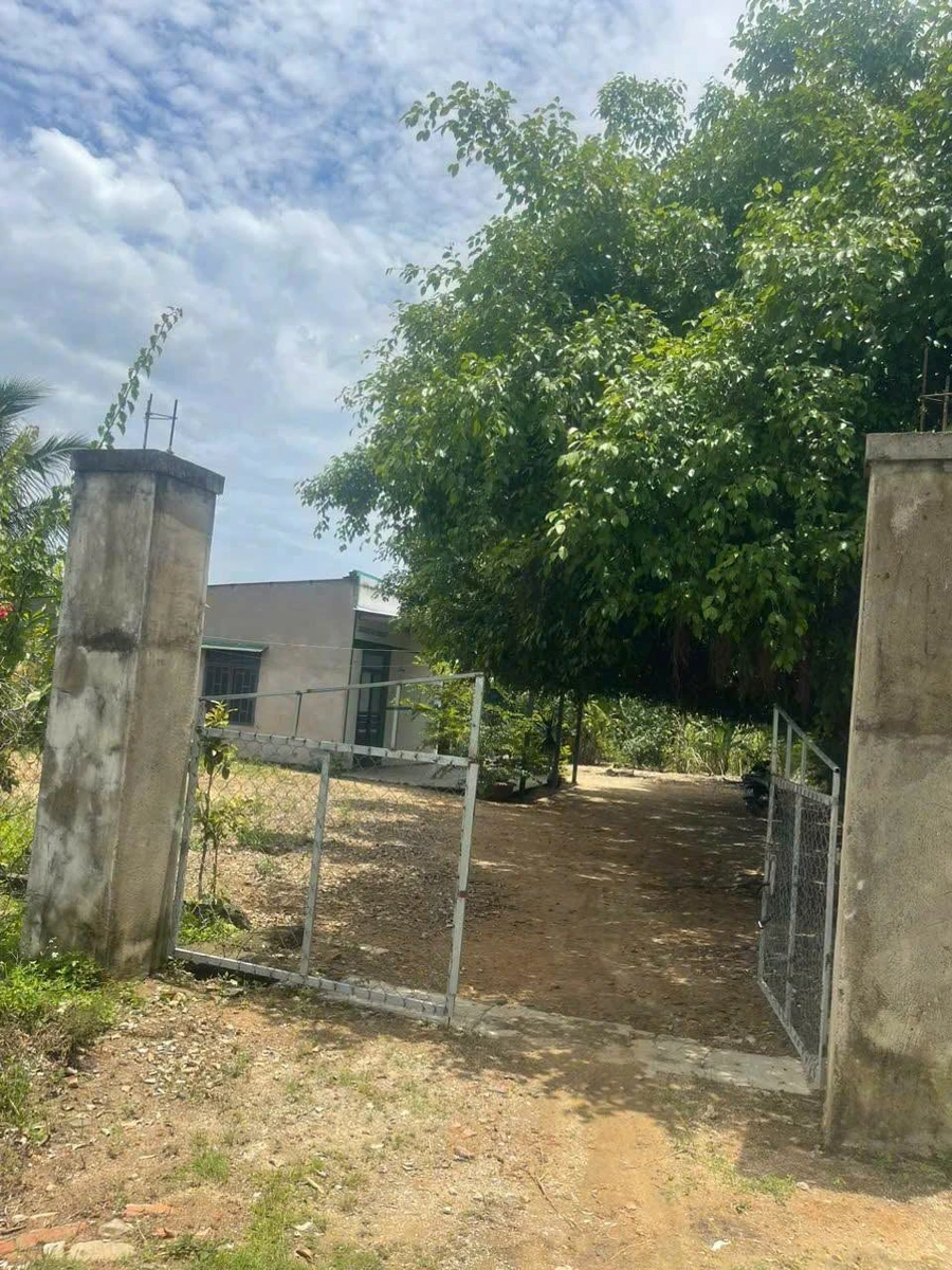 Bán đất Ninh Sơn 9.200m² có nhà cấp 4, 2 phòng ngủ 1,6 tỷ - Ảnh thu nhỏ 2