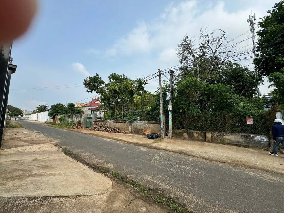 Bán 2 lô đất liền kề 200m² Buôn Ma Thuột 2,25 tỷ - Ảnh thu nhỏ 3