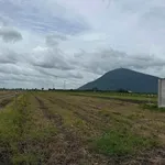 Bán 5 công đất Suối Đá Tây Ninh, 800 triệu - Ảnh thu nhỏ 3