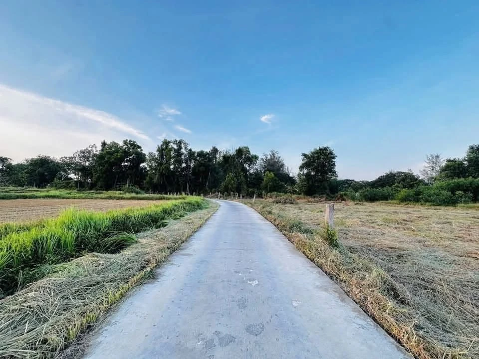 Bán lô đất 1000m2 tại Xã Hàm Liêm, Lâm Đồng - Ảnh thu nhỏ 3