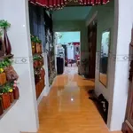 Bán đất Liên Chiểu 150m² mặt tiền 7m giá 3,8 tỷ - Ảnh thu nhỏ 4