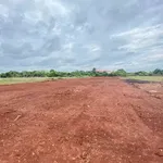 Bán đất sào Xã Long Tân Huyện Đất Đỏ 847m² - Ảnh thu nhỏ 3