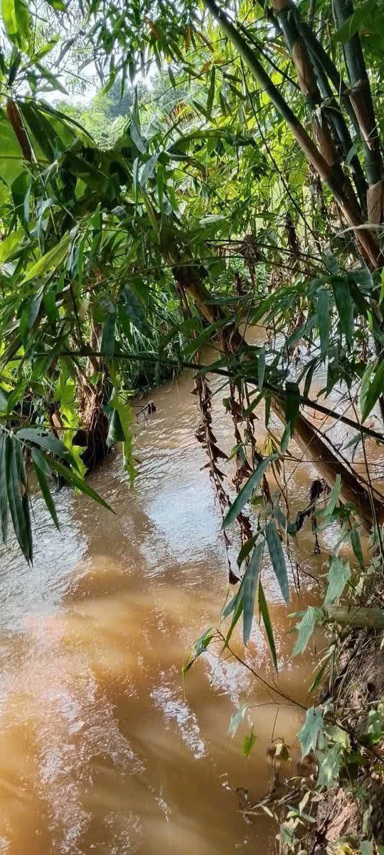 Bán đất 1 sào 3 Nghĩa Thành, view suối - Ảnh thu nhỏ 2