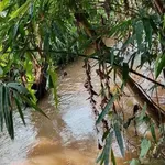 Bán đất 1 sào 3 Nghĩa Thành, view suối - Ảnh thu nhỏ 2