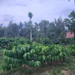 Bán đất 400m² Cao Thắng Ea Kao, giá 1 tỷ 3 - Ảnh thu nhỏ 5