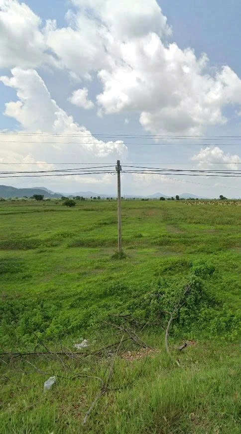 Bán 4 ha đất mặt tiền ĐT711 Hàm Thuận Bắc, Bình Thuận 270 tr/sào - Ảnh thu nhỏ 2