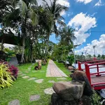 Sang nhượng khu nghỉ dưỡng 13.000m² bên suối 13,5 tỷ - Ảnh thu nhỏ 4