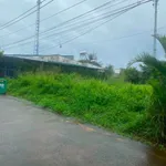Bán đất hẻm 383 Nguyễn Văn Cừ, 112.5m², 2 tỷ 190 triệu - Ảnh thu nhỏ 3