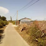 Bán 3 thửa đất liền ranh tổng 11.234,3m2 tại Bình Thới, Bình Đại, Bến Tre - Ảnh thu nhỏ 11