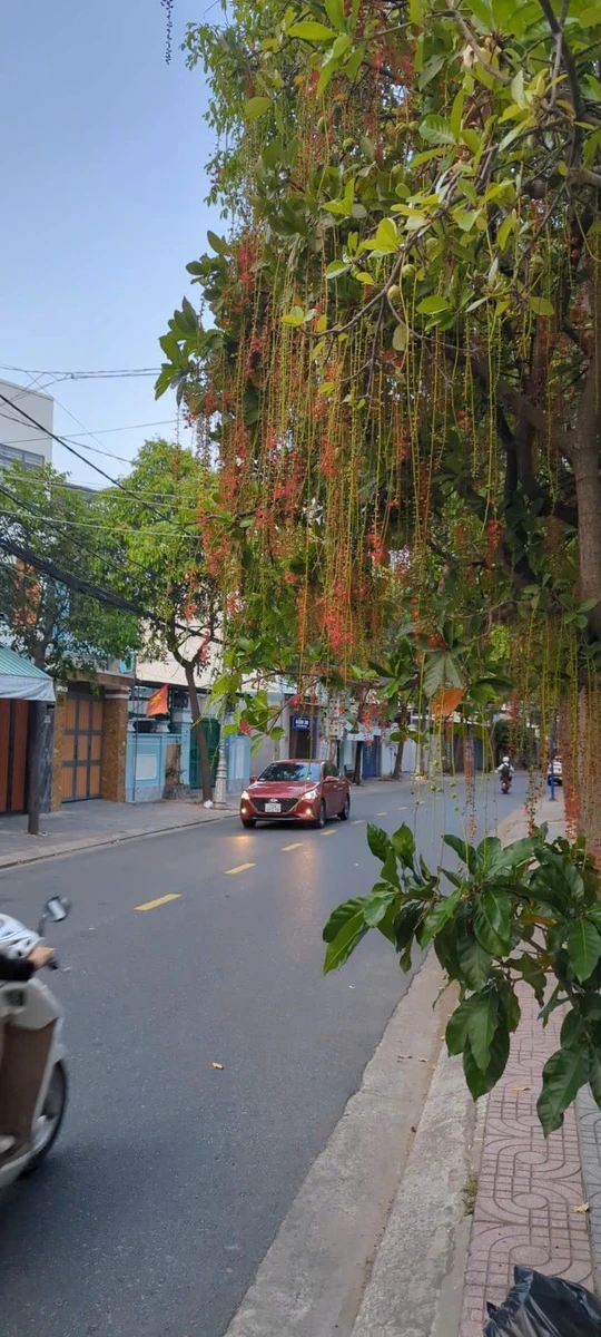 Bán nhà mặt tiền Bến Nôm 73m2, Rạch Dừa, Vũng Tàu - Ảnh 1