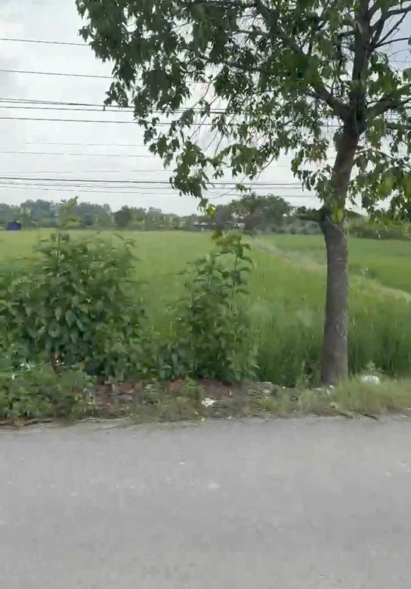 Bán 2000m² đất mặt tiền Thanh Phú, Long An - Ảnh thu nhỏ 3