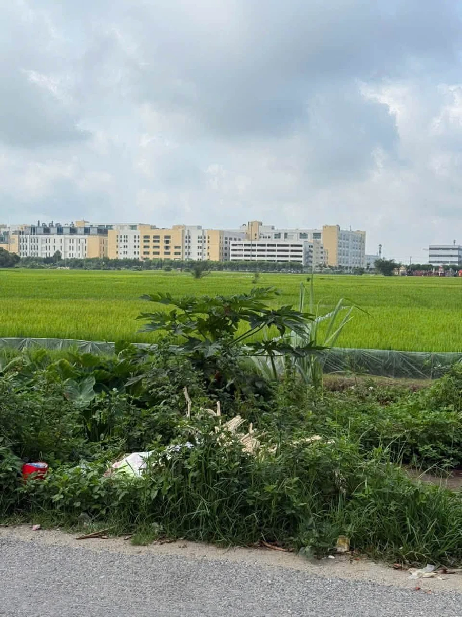 Bán nhà 100m² mặt tiền 5m Quốc Tuấn, An Bình gần KCN - Ảnh thu nhỏ 3