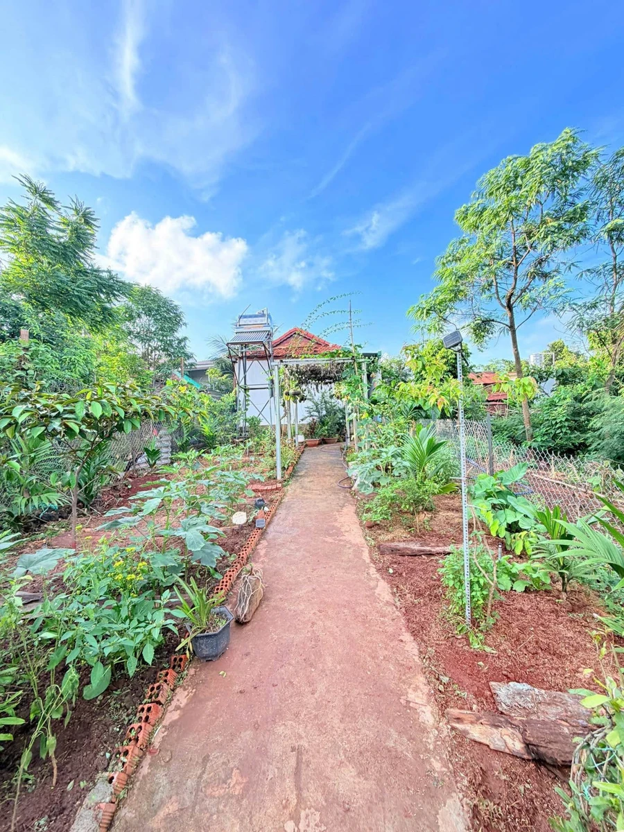 Bán nhà vườn 420m² Ymoal, 3 phòng ngủ, 2 tỷ 500 triệu - Ảnh thu nhỏ 5