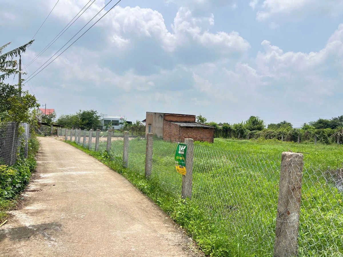 Bán đất thổ cư 300m² gần Phan Thiết, Hàm Liêm, 1.8 tỷ - Ảnh thu nhỏ 3