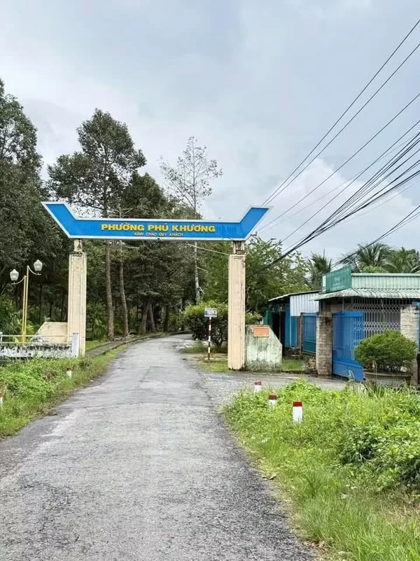 Bán đất mặt tiền lộ nhựa 500m² Bến Tre