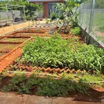 Bán nhà vườn 500m² 1 phòng ngủ 1 tỷ 780 triệu Bà Rịa - Ảnh thu nhỏ 4