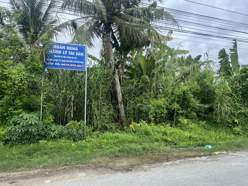Ngân hàng thanh lý lô đất 1.442m2 tại Ngãi Tứ, Tam Bình, Vĩnh Long - Ảnh 1