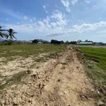 Bán lô đất vườn 300m² Ninh Chữ, Khánh Hòa, 420 triệu - Ảnh thu nhỏ 1