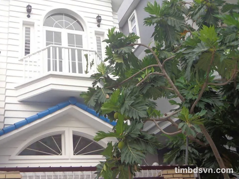 Cho thuê nhà nguyên căn 170 m2, 3 PN, 9,5 triệu/tháng, Bình Tân - Ảnh thu nhỏ 5