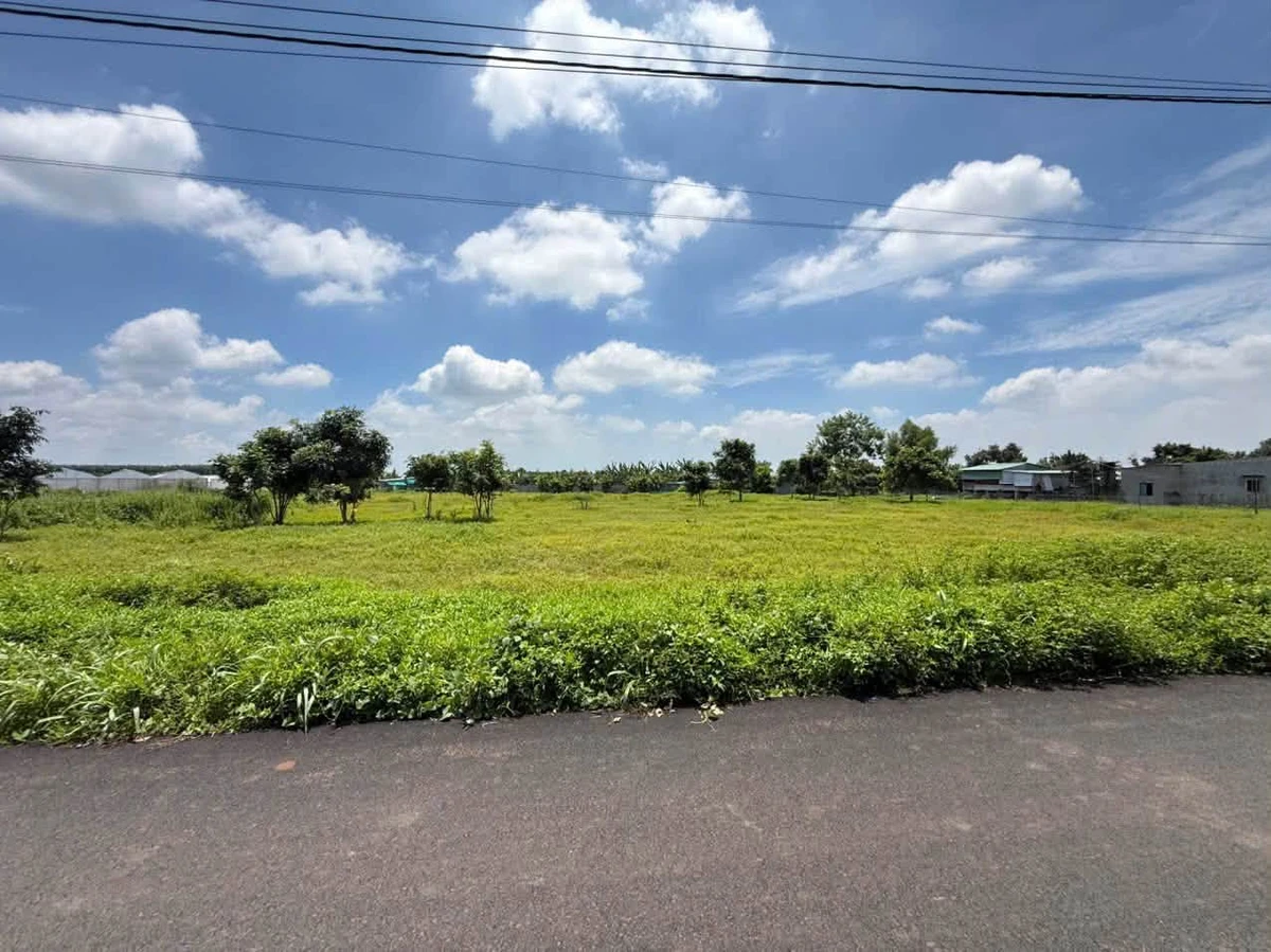 Bán đất 1000m2 mặt tiền Long Tân, Đất Đỏ - 1 tỷ 7 - Ảnh thu nhỏ 4