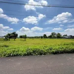 Bán đất 1000m2 mặt tiền Long Tân, Đất Đỏ - 1 tỷ 7 - Ảnh thu nhỏ 4