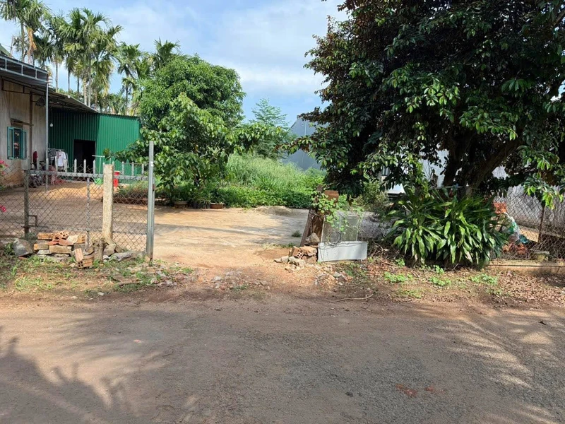 Bán đất hẻm 232 Nguyễn Thái Bình Tân Lập, Buôn Ma Thuột, 170m²
