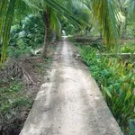 Bán 2,6 công đất vườn Nhơn Thạnh - 1 tỷ 500 triệu - Ảnh thu nhỏ 1