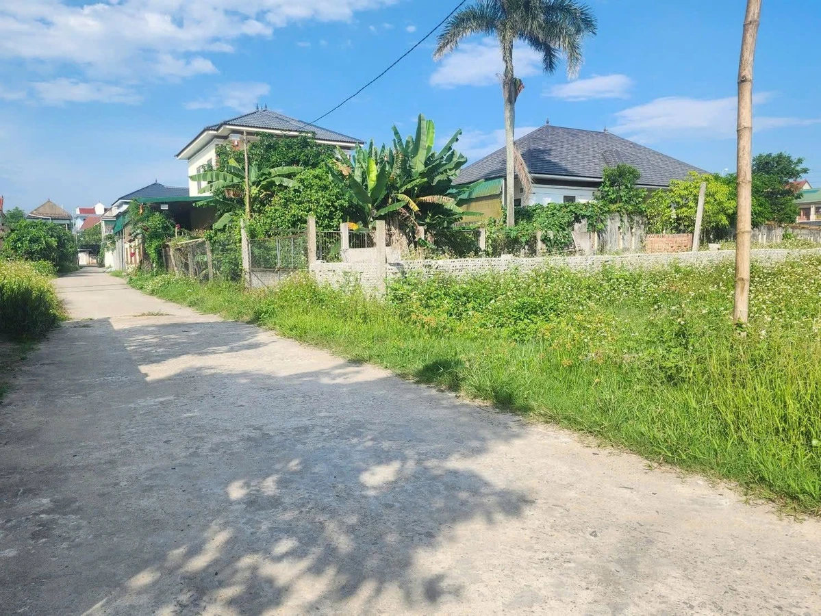 Bán đất Nghi Thái 166m2, giá 2 tỷ 5 - Ảnh 1