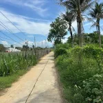 Bán 1552m2 đất vườn có nhà - Lương Cang, Đông Vinh - Phan Rang - 990tr bao sổ - Ảnh thu nhỏ 12