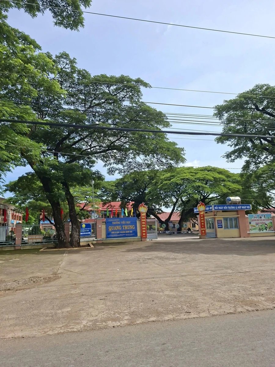 Bán đất 1000m² vườn dừa ao cá gần Núi Chứa Chan - Ảnh thu nhỏ 2