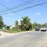 Bán đất vườn 4822 m² ấp 1, Bến Lức, Tây Ninh - Ảnh thu nhỏ 2