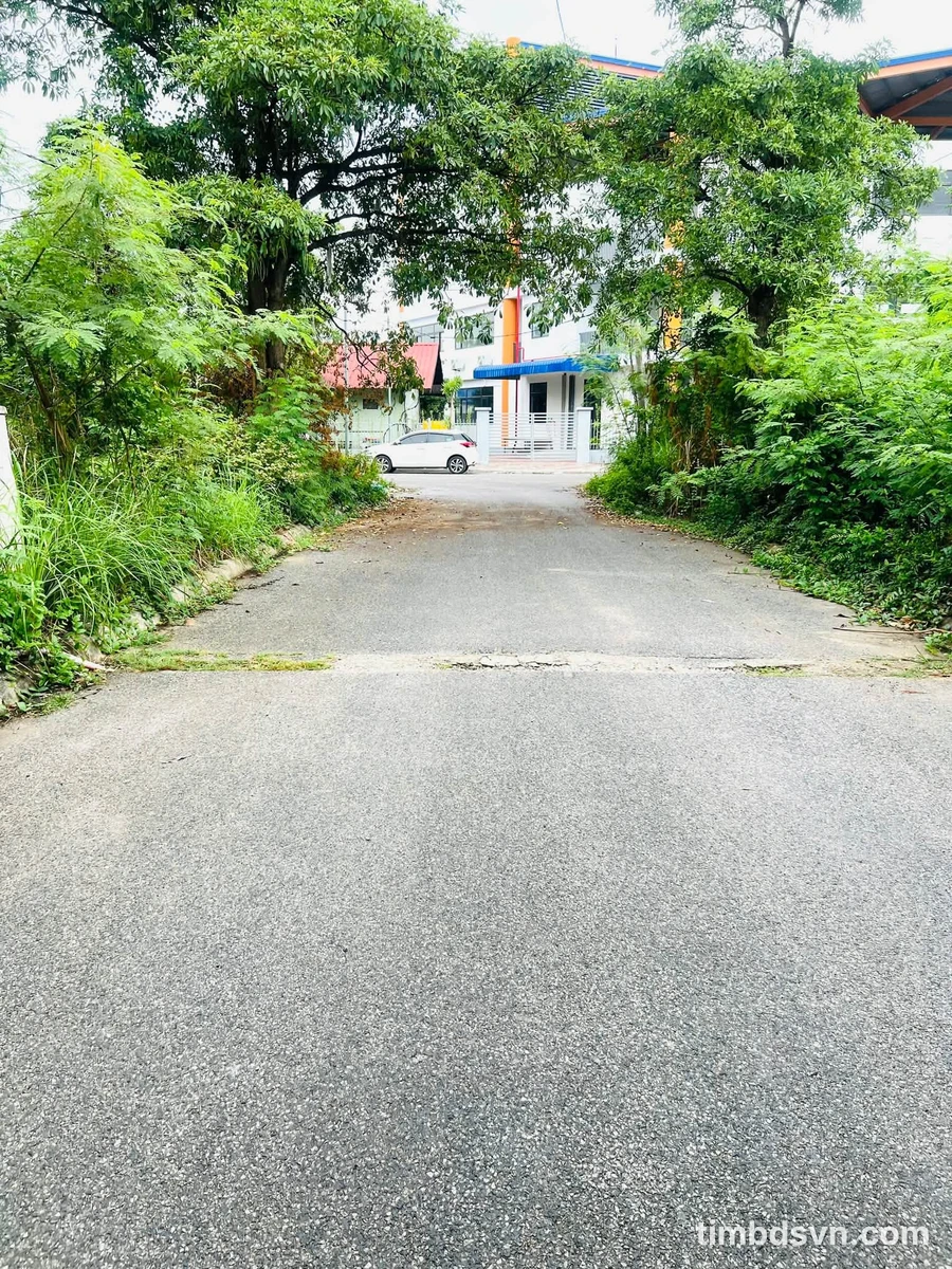 Bán đất 100m² mặt tiền 5m Anh Dũng 5, Hải Phòng - Ảnh thu nhỏ 4