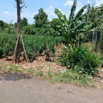 Bán lô đất vườn góc 2 mặt tiền 2000m² Hòa Long 7,5 tỷ - Ảnh thu nhỏ 3